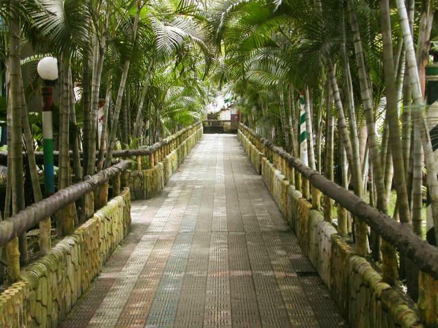 Palm Village Resort Calcutta Exterior foto